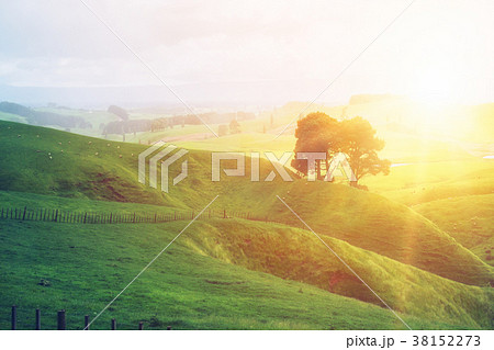 Morning sunrise at green grass farm on the hill. 38152273