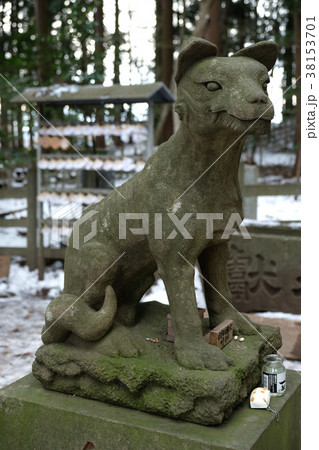 宝登山神社の狛犬 宝登山神社の狛犬 38153701