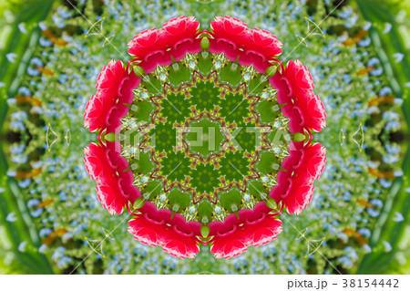 abstract background of floral pattern kaleidoscope 38154442