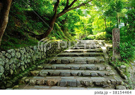 化野の参道 化野の参道 38154464