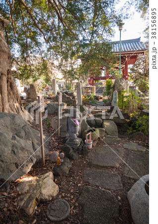 東京世田谷散歩、東京都世田谷区野毛二丁目善養寺境内、カッパ像 38156895