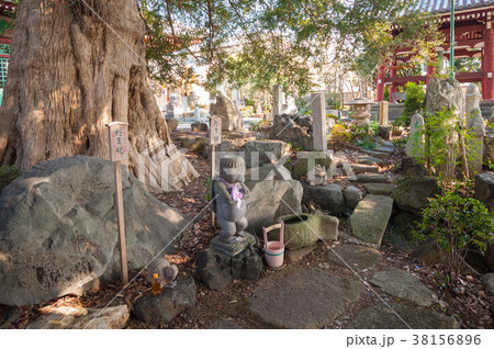 東京世田谷散歩、東京都世田谷区野毛二丁目善養寺境内、カッパ像 38156896