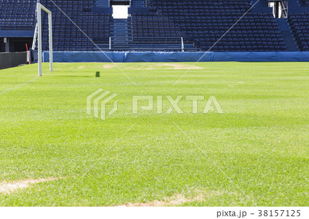 Green grass on the football field Green grass on the football field 38157125