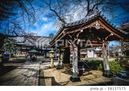 新井薬師 梅照院 新井薬師 梅照院 38157575