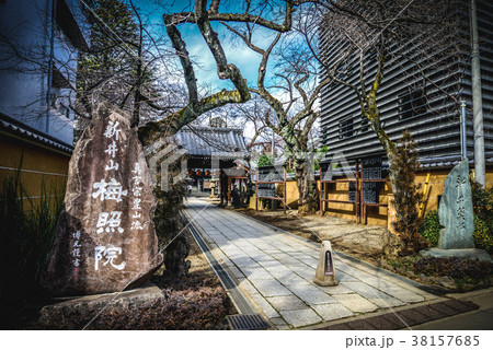 新井薬師 梅照院 参道 新井薬師 梅照院 参道 38157685