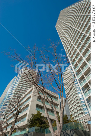 東京世田谷散歩、東京都世田谷区、二子玉川レジデンスエリア 38157837