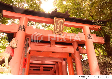 伏見稲荷 伏見稲荷 38158845