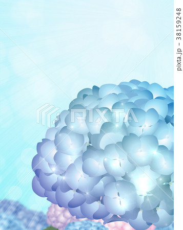紫陽花 38159248