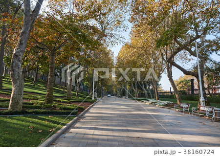 Park in the autumn day, Istanbul, Turkey 38160724