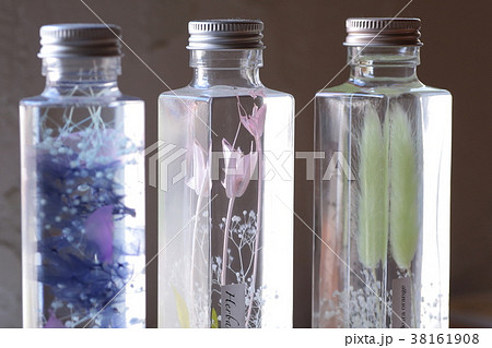 ハーバリウム 38161908