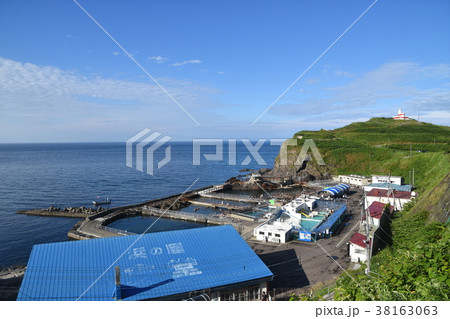 おたる水族館 おたる水族館 38163063