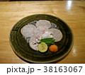 遠州灘で捕れたとらふぐ 38163067