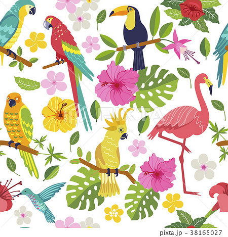 Set Of Tropical Birdsのイラスト素材