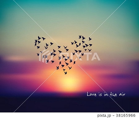 Love heart bird sign card in sky sunset valentines Love heart bird sign card in sky sunset valentines 38165966