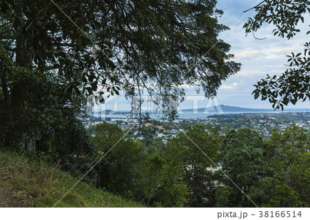 ニュージーランド　オークランド　マウント・ホブソンからのランギトト島 38166514