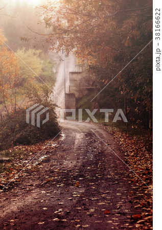 Park valley in autumn in the fog, Shallow DOF Park valley in autumn in the fog, Shallow DOF 38166622