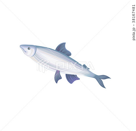 Flat vector icon of tuna fish with blue fins 38167481