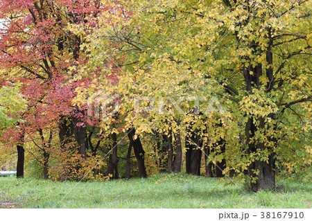 Autumn Landscape. Park in Autumn. The bright Autumn Landscape. Park in Autumn. The bright 38167910