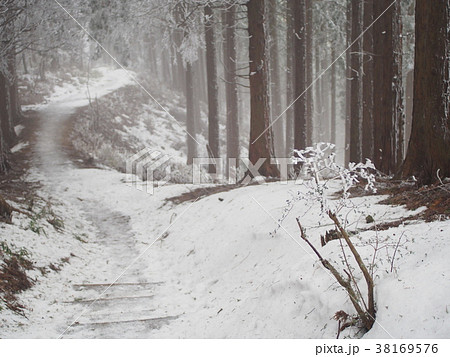 金剛山（青崩） 38169576