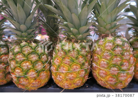 パイナップル パイナップル 38170087