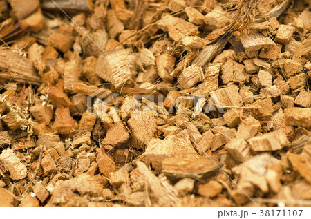 coconut peel 38171107