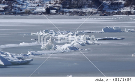 諏訪湖の御神渡り 諏訪湖の御神渡り 38171384