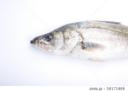 すずき　食材 38171868