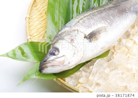 すずき　食材 38171874