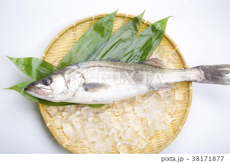 すずき　食材 38171877