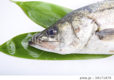 すずき　食材 38171879