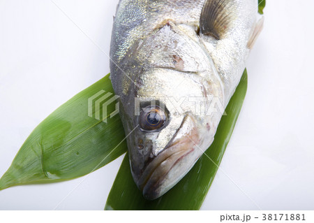 すずき　食材 38171881