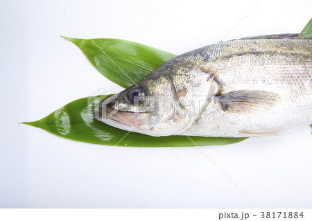 すずき　食材 38171884