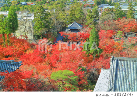 永観堂の紅葉 38172747
