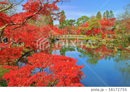 永観堂放生池の紅葉 永観堂放生池の紅葉 38172750