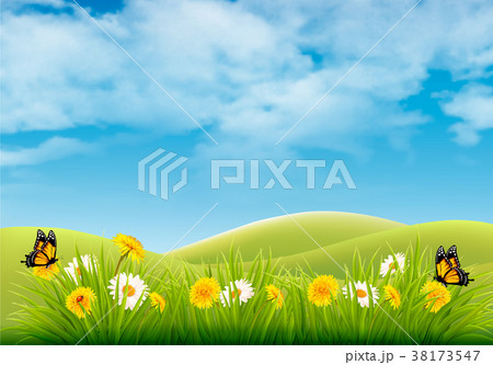 Spring nature landscape background with flowers 38173547