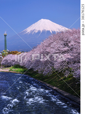 桜と川と富士山-2085 桜と川と富士山-2085 38176125