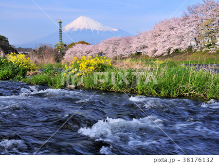 桜と川と富士山-2092 38176132