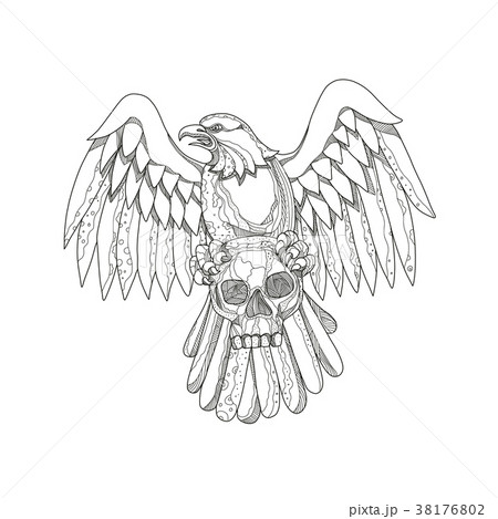 American Eagle Clutching Skull Doodle American Eagle Clutching Skull Doodle 38176802