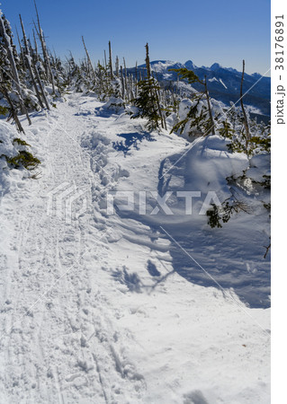 縞枯山の冬の登山道 38176891