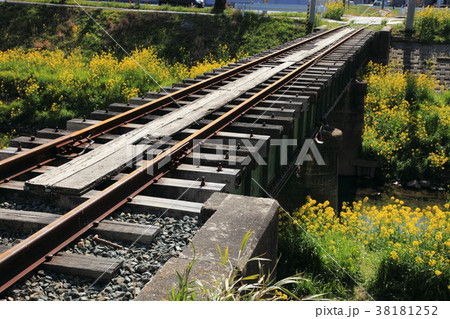 菜の花と線路 38181252