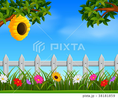 beehive in the garden 38181859