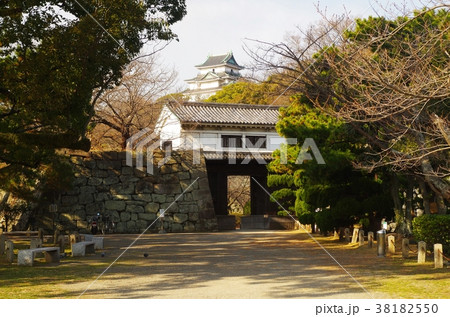 和歌山城公園 和歌山城公園 38182550