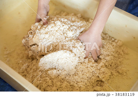 味噌作り体験　みそと麹を混ぜる作業 38183119