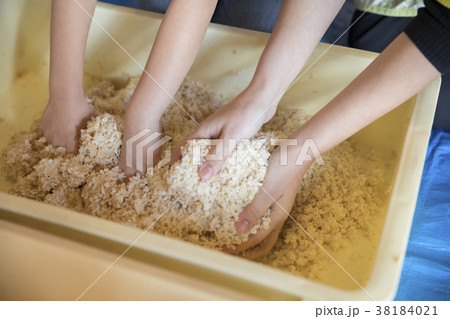 味噌作り体験　みそと麹を混ぜる作業 38184021