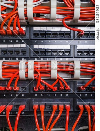 Red patch cord internet cables Red patch cord internet cables 38184982