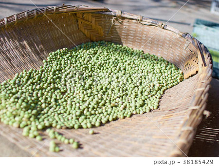 大豆の収穫 大豆の収穫 38185429