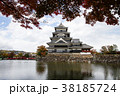 Ancient Japanese Castle with cloudy sky in Autumn. 38185724