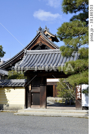 等持院 38186503