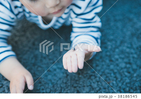 3 years old 38186545