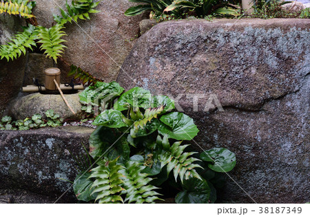 庭石と、水景 庭石と、水景 38187349
